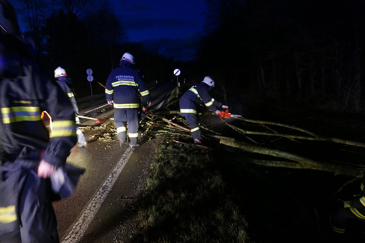 10.03 Technische Hilfeleistung Weinburg